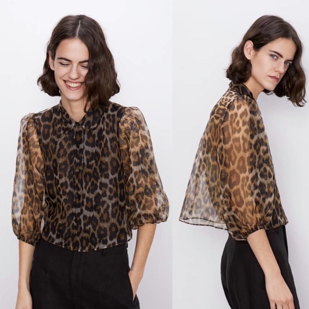 Zara Animal Print Sheer Blouse